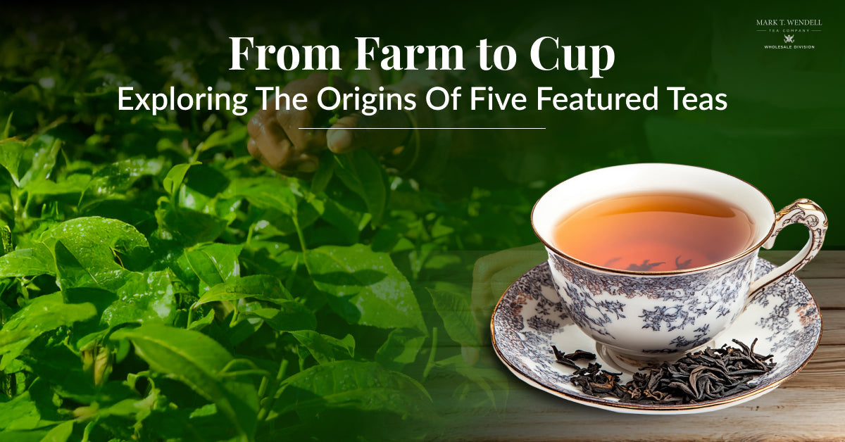 From Farm to Cup: Exploring the Origins of Five Featured Teas