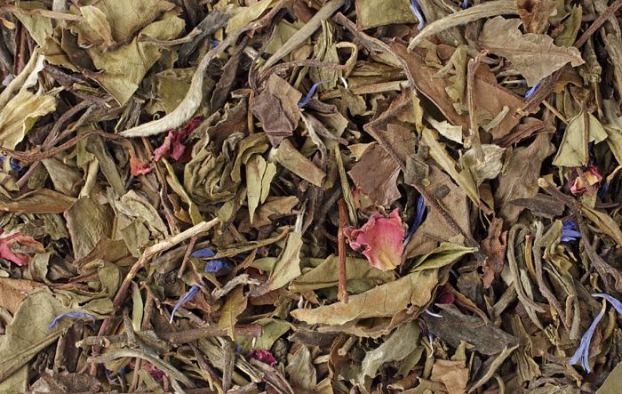 Citrus Blossom China Mudan White
