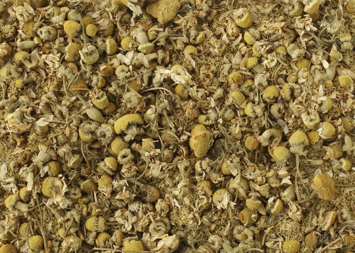 Egyptian Camomile Earth Apple Flowers